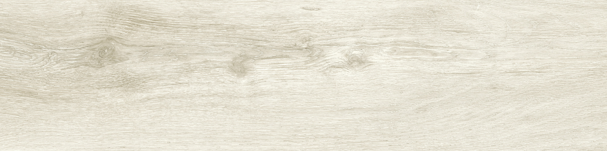 Forever-Arce-25x100