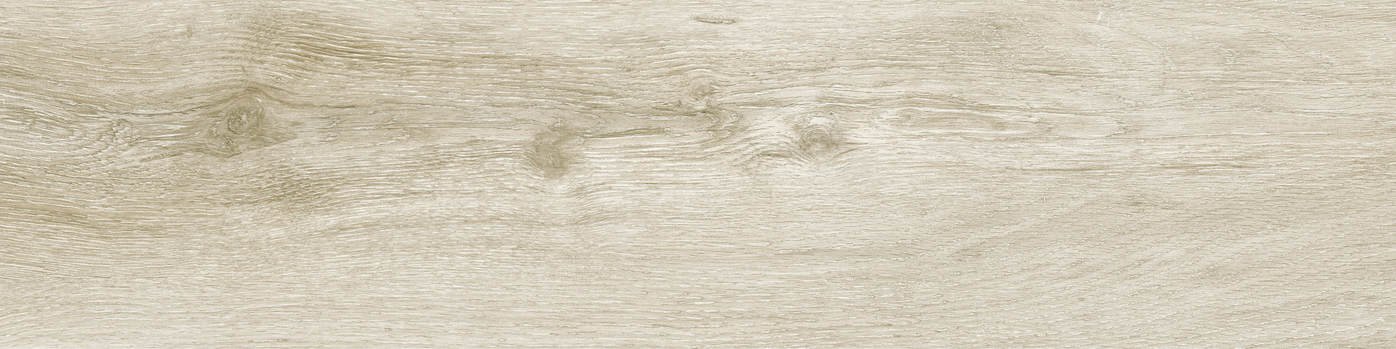 Forever-Haya-25x100