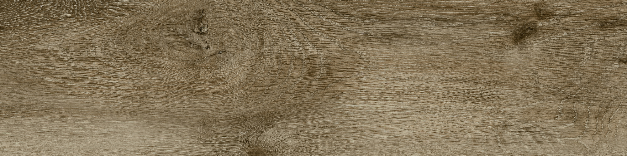 Forever-roble-25x100